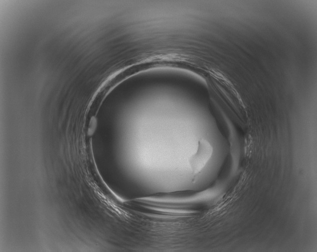 X0000050740784200506161526