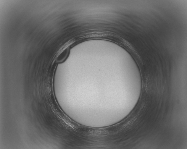 X0000050740786200506161526
