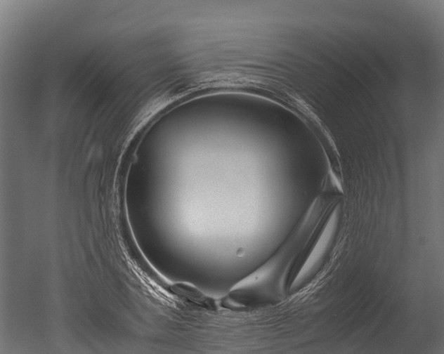 X0000050740787200506161526