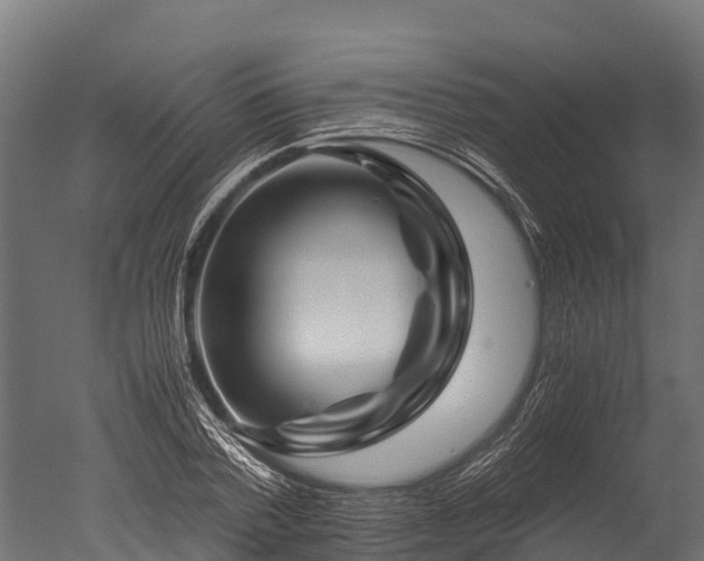 X0000050740788200506161526