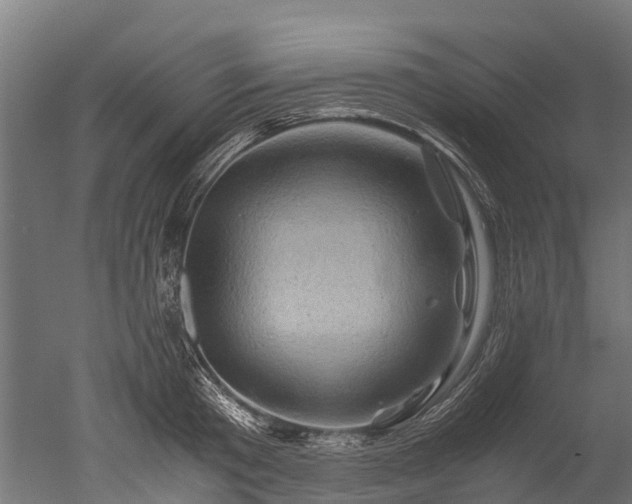 X0000050740801200506161525