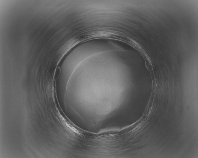 X0000050740802200506161525