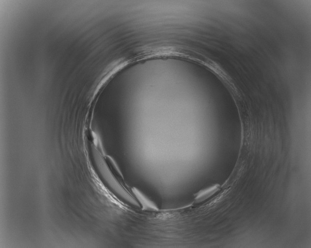 X0000050740806200506161525