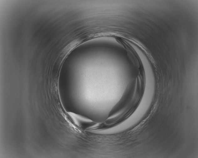 X0000050740809200506161525