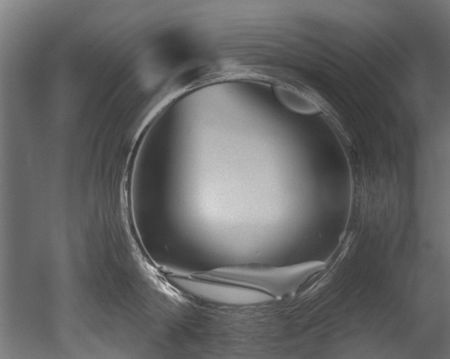 X0000050740814200506161525