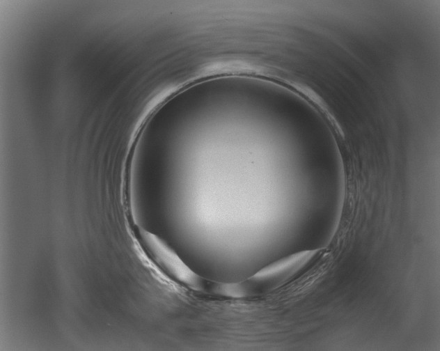 X0000050740815200506161525