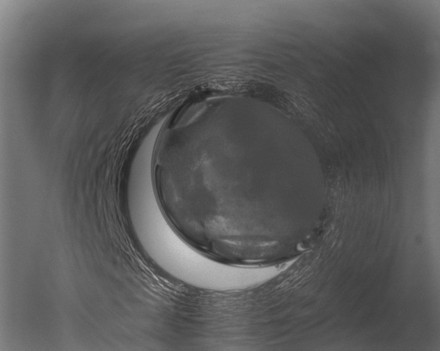 X0000050740817200506161524