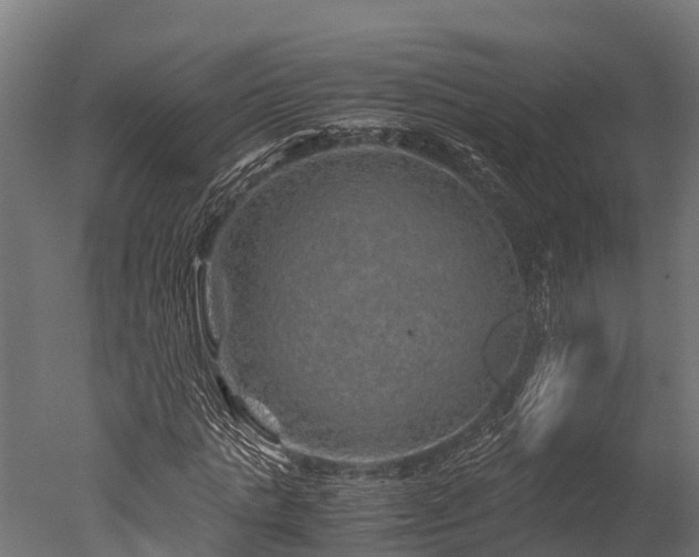 X0000050740821200506161524