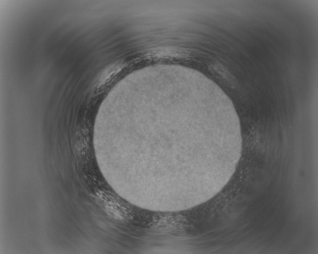 X0000050740824200506161525