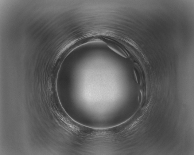 X0000050740826200506161525