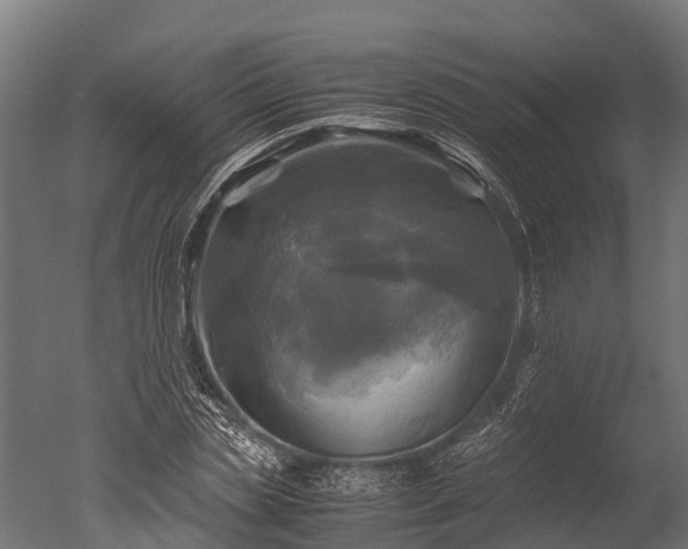 X0000050740829200506161525