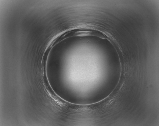 X0000050740838200506161525