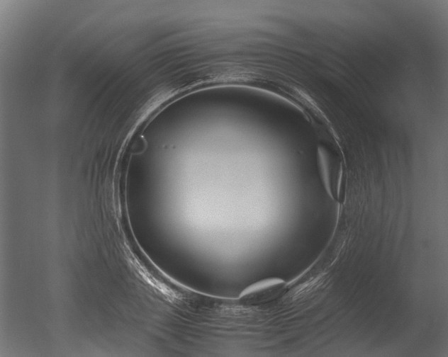 X0000050740843200506161525