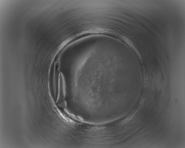 X0000050740845200506161525