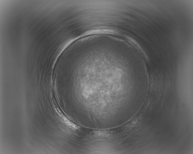 X0000050740852200506161525