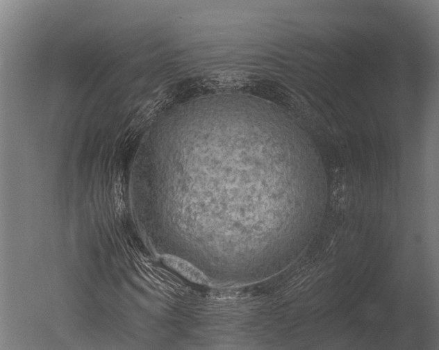 X0000050740866200506161524