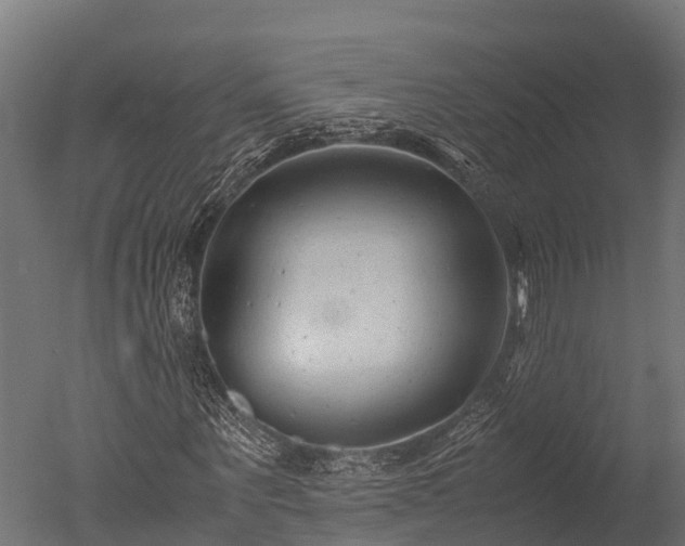 X0000050740867200506161524