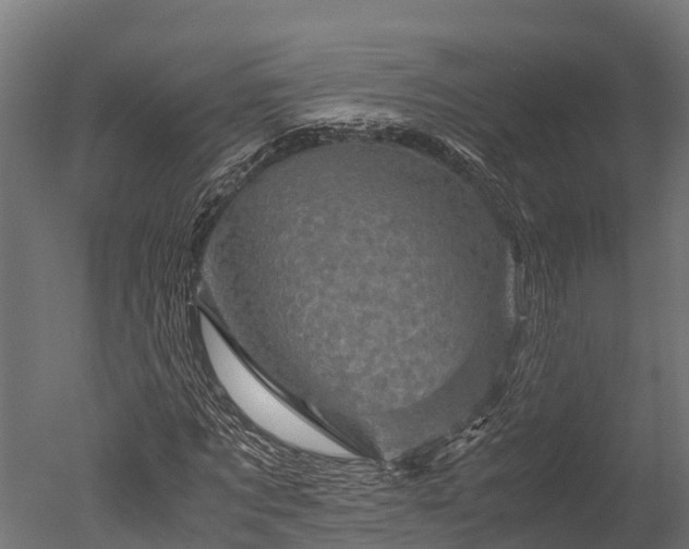X0000050740869200506161524