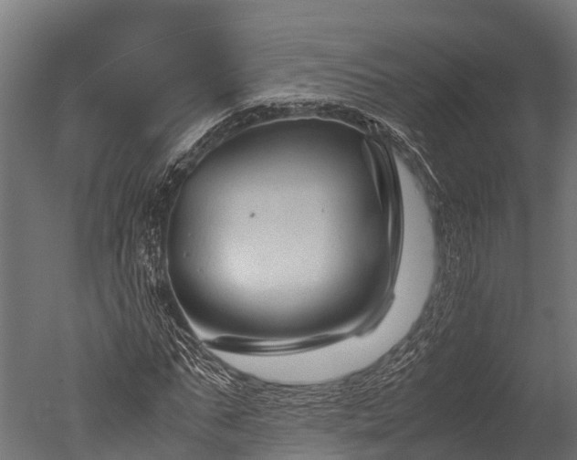 X0000050740871200506161524