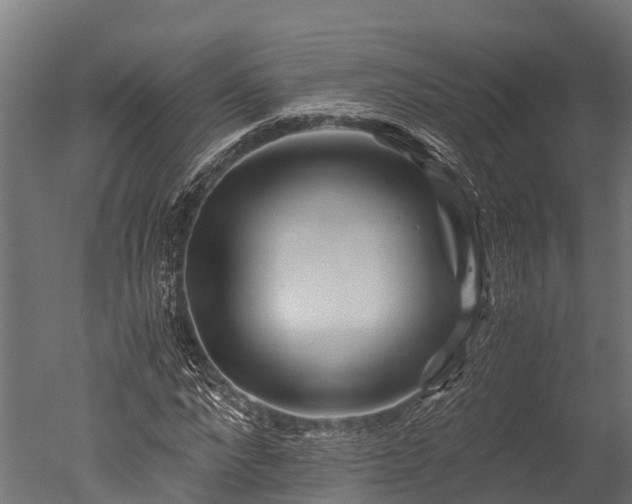 X0000050740872200506161524