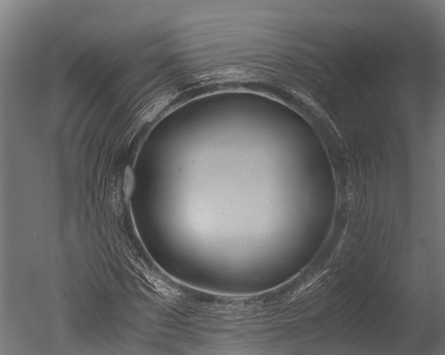 X0000050740873200506161524