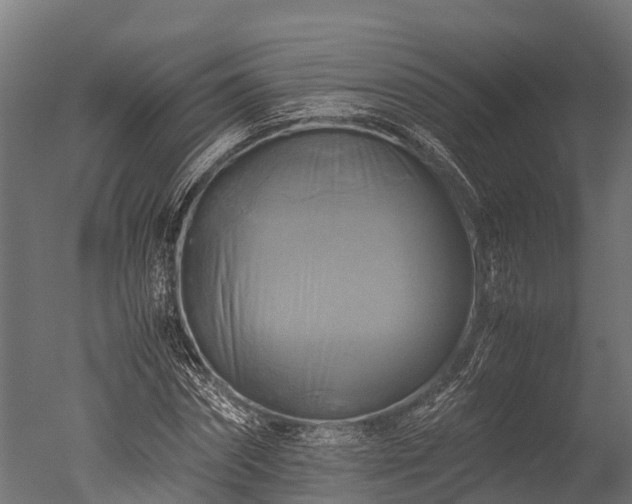 X0000050740874200506161524