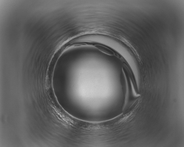 X0000050740876200506161524