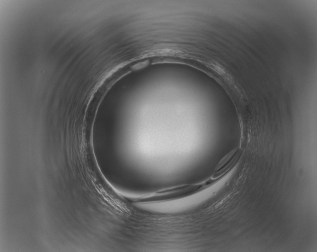 X0000050740880200506161524