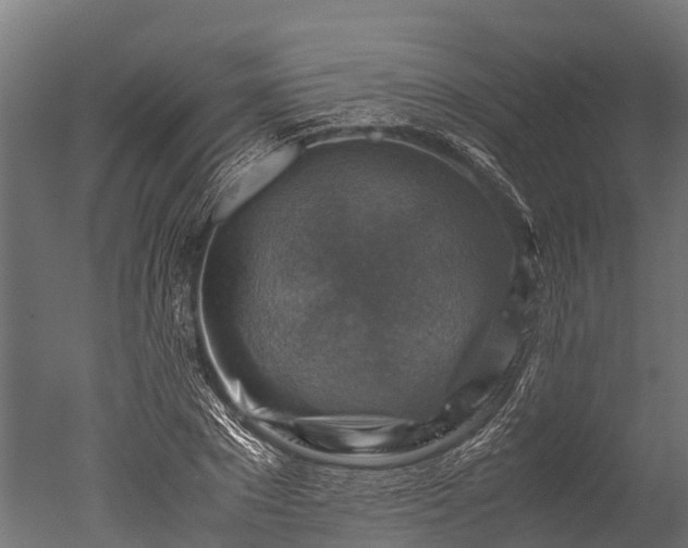 X0000050740881200506161524