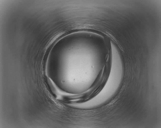 X0000050740885200506161524