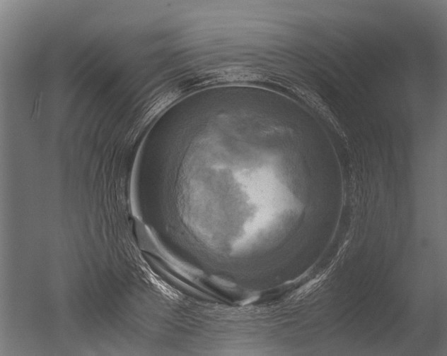 X0000050740889200506161524
