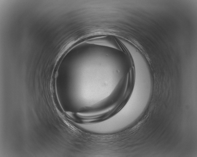 X0000050740893200506161524