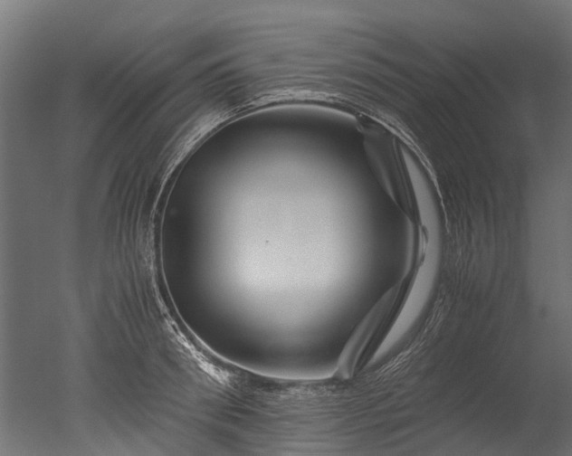X0000050740898200506161524