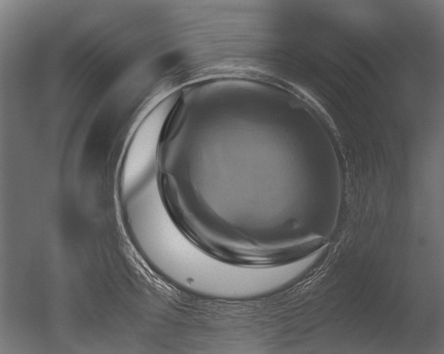 X0000050740899200506161524
