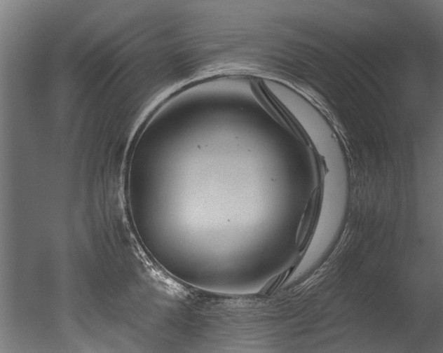 X0000050740904200506161524