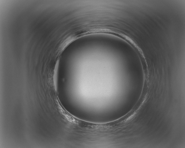 X0000050740905200506161524