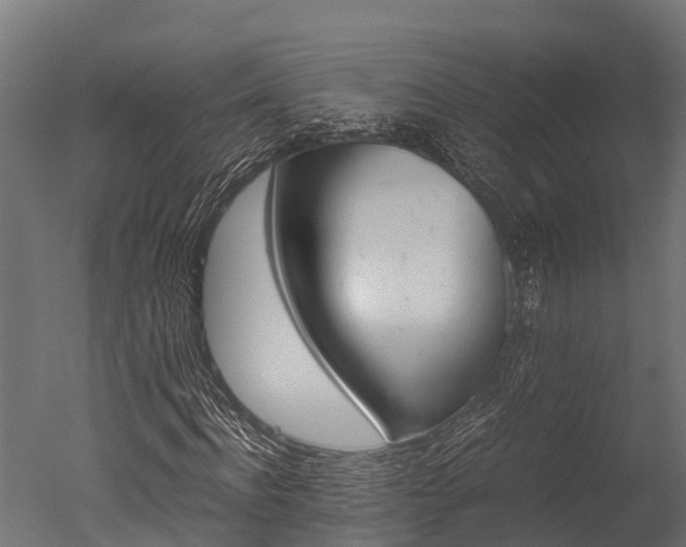 X0000050740916200506161523