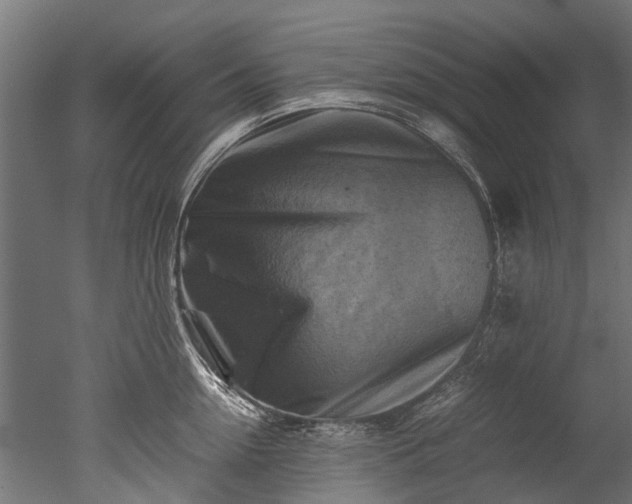 X0000050740954200506161523