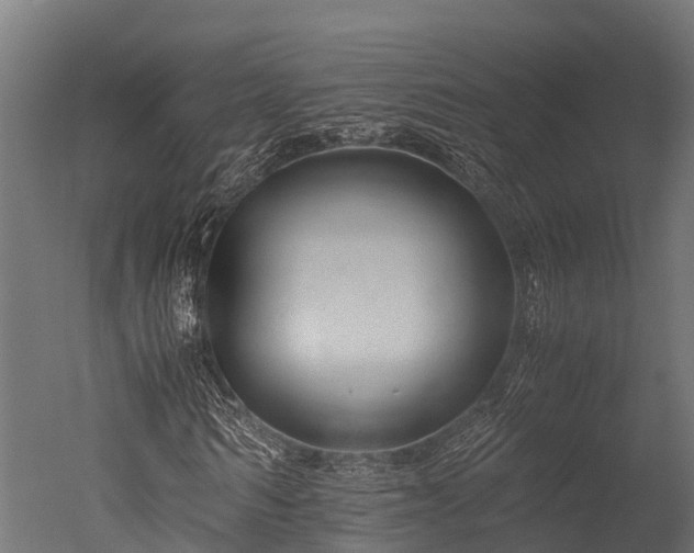 X0000050740962200506161523