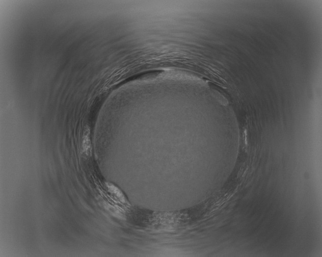 X0000050740963200506161523