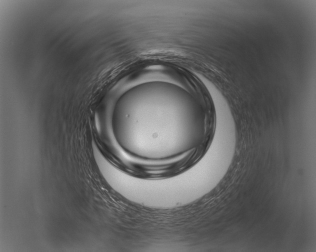 X0000050740965200506161523