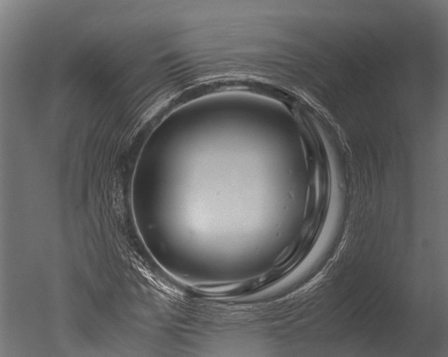 X0000050740969200506161523