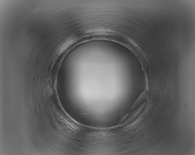 X0000050740970200506161523