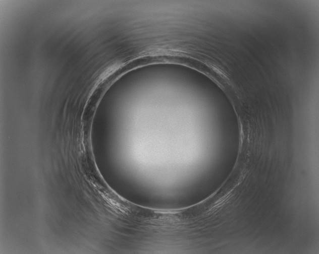 X0000050740974200506161523