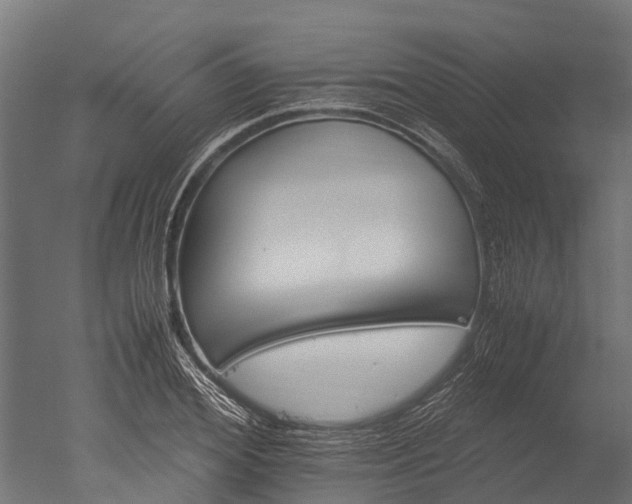 X0000050740980200506161522