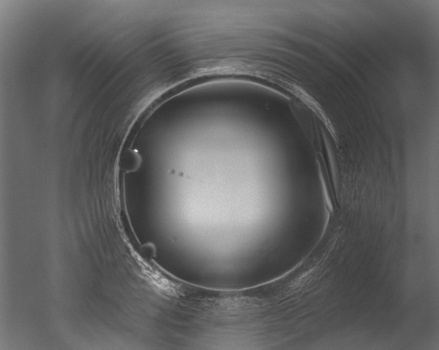 X0000050740988200506161522