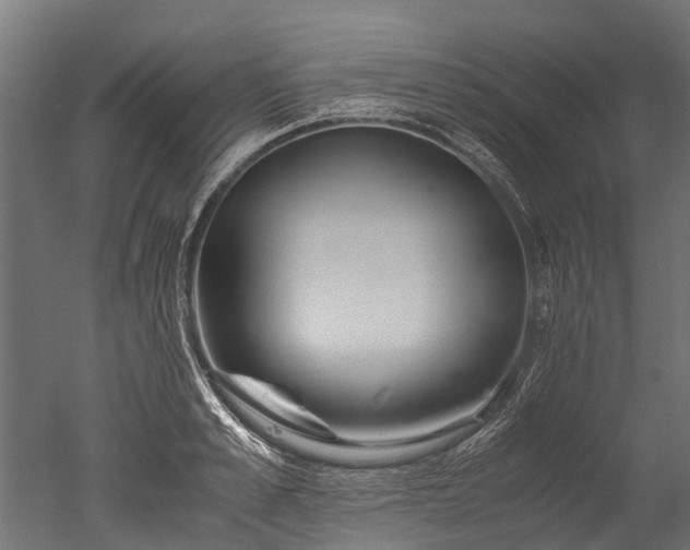 X0000050740989200506161522