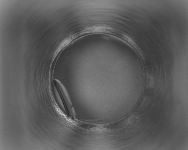 X0000050740994200506161522
