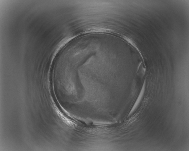 X0000050740995200506161522