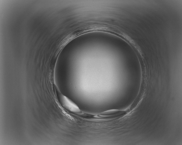 X0000050741001200506161522